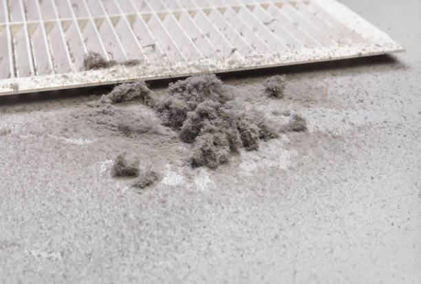 Best Ventilation Cleaning Services  in Debary, FL
